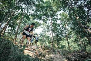 BIB: 
                            <button type="button" onclick="openModal(25984877)" class="btn btn-primary btn-sm float-right btn-popup" data-toggle="modal" data-target=".modal-high-quality">
                        <i class="fas fa-shopping-cart"></i> Add to Cart
                    </button>
                                            <button type="button" onclick="isThisMe(25984877, true)" class="btn btn-success btn-sm float-right btn-popup btn-isme hidden" data-toggle="tooltip" data-placement="bottom" title="นี่คือรูปของคุณใช่ไหม คลิกที่นี่เพื่อเอาเข้าอัลบั้ม">
                        <i class="fas fa-plus"></i> Add to album
                    </button>
                    <button type="button" onclick="isThisMe(25984877, false)" class="btn btn-warning btn-sm float-right btn-popup btn-isnotme hidden">
                        <i class="fas fa-ban"></i> Remove from album
                    </button>